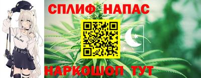 гашик Краснознаменск