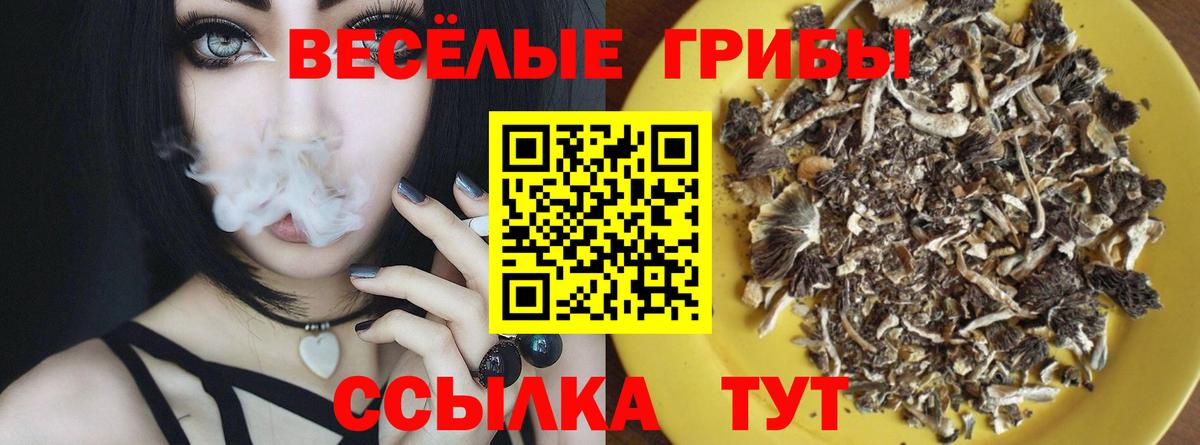 Галлюциногенные грибы Cubensis  Псилоцибиновые грибы Psilocybe  Вход с VPN  Ишим 